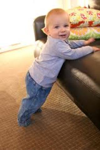 Physical development 14 months