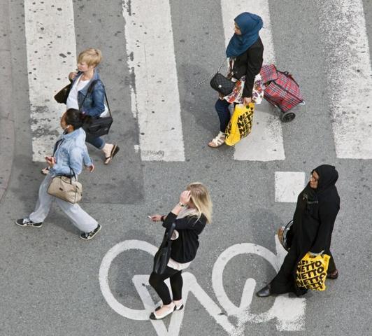 Multietnisk samfund?