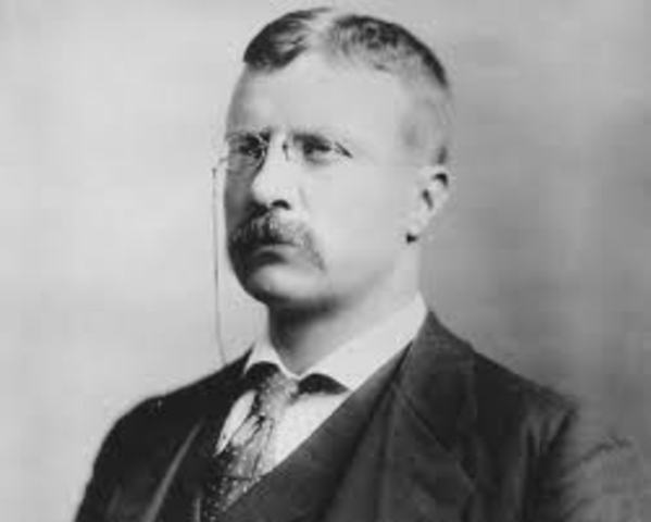 Roosevelt's famous attempt