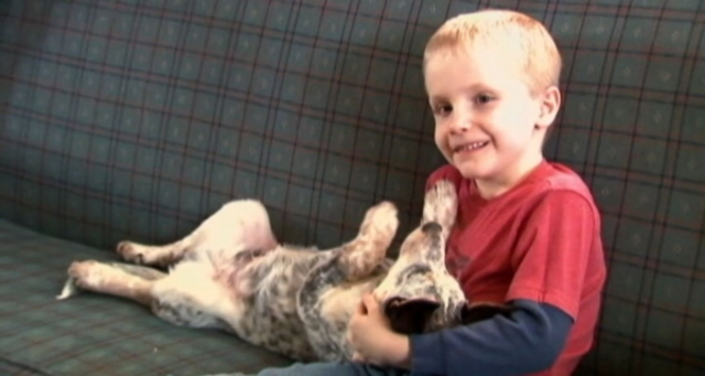 SHARE THIS      PrintEmailMore sharing     School drops sexual harassment claim against 6-year-old who kissed girl