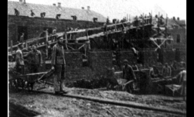 Vladek begins blackwork