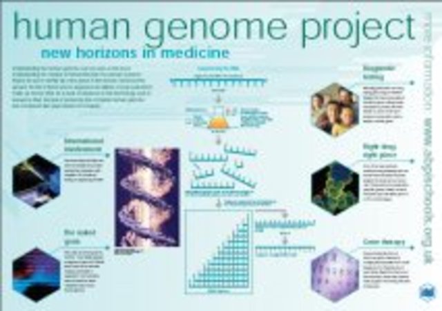 Human Genome Project Launched