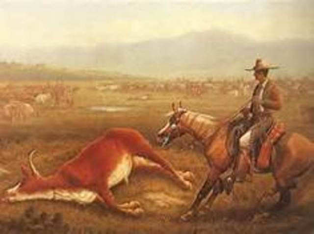 Vaqueros