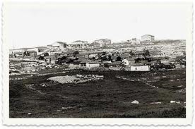 הקמת השכונה בית דוד