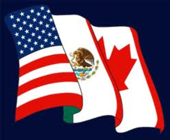 North American Free Trade Agreement (NAFTA),