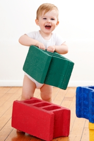 22 to 24 months cognative development