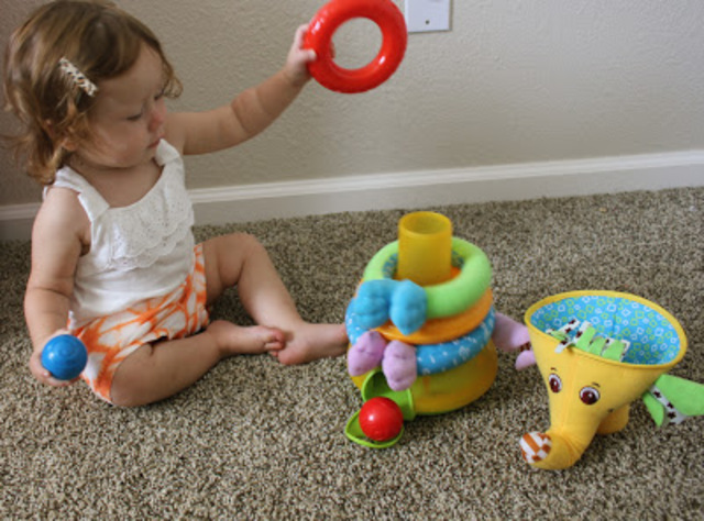 Cognitive Development  30- 36 months