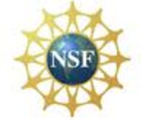 SUSTITUTO DE ARPANET