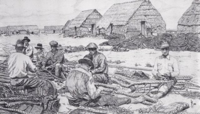 Companhia Geral das Reais Pescarias do Reino do Algarve