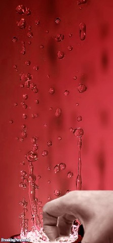 issac newton formulated law of gravity