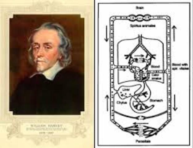 William Harvey discovered the circulation of blood