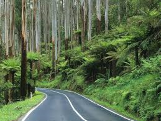 National Park Excursion