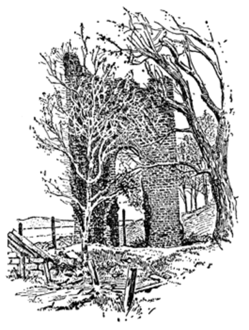 First Load of Tobbacco