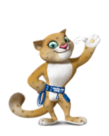 XXII зимние Олимпийские игры, Сочи, Россия