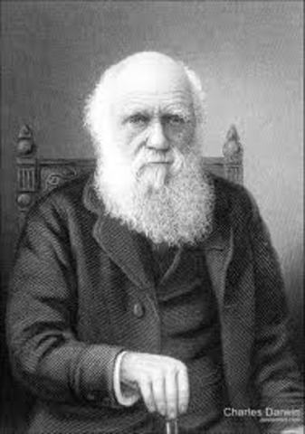 Darwin Speaks of his Findings