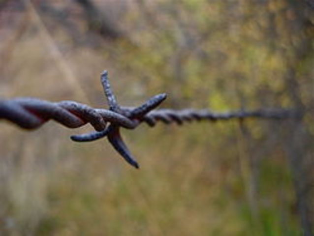 Barbed Wire