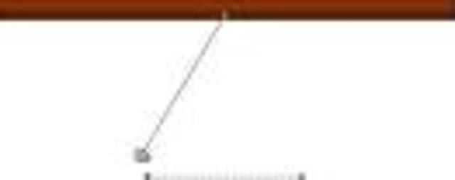 First Important Discovery