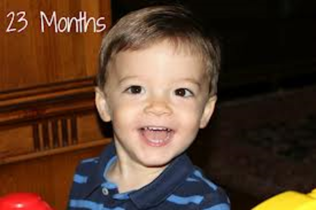 cognitive development at 23 months
