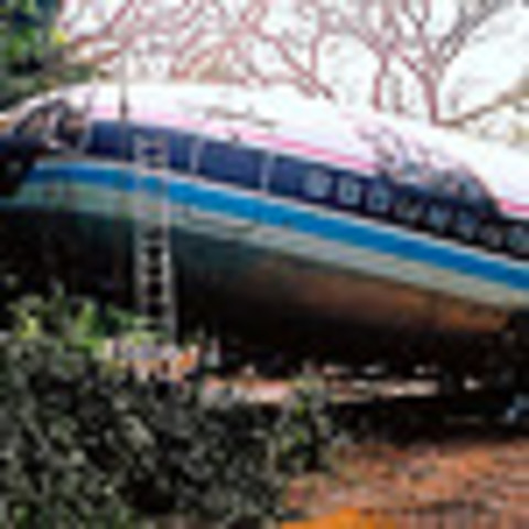 Hawaii survivor: Plane lost power, then glided