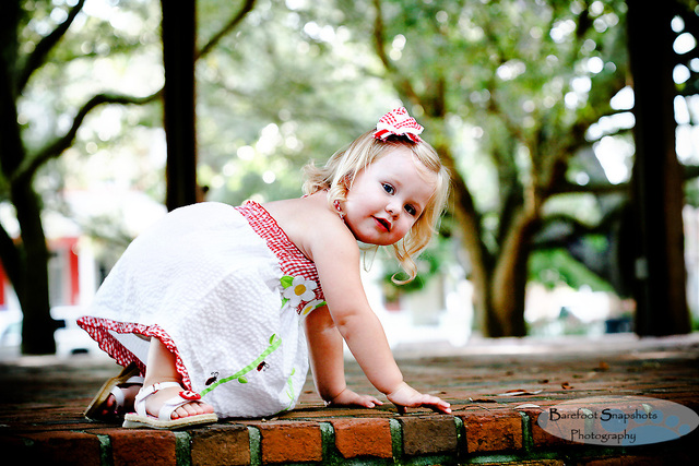 cognitive development at 24 months