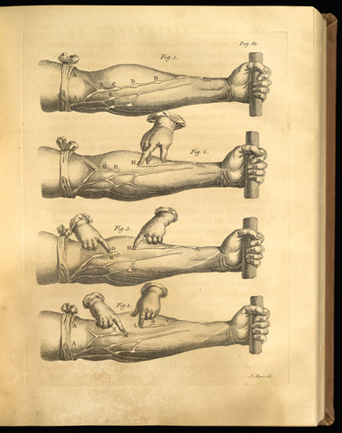 William Harvey Discovered Circulation of the Blood