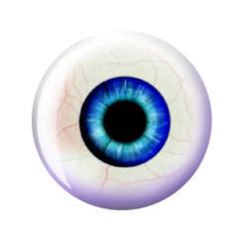 Galileo Loses Eyesight