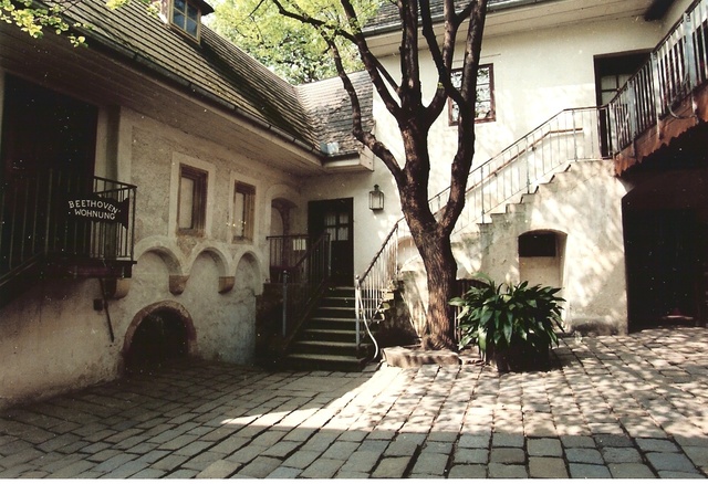 Moved to Vienna, Austria continued