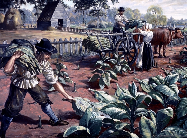 Tobacco Farms