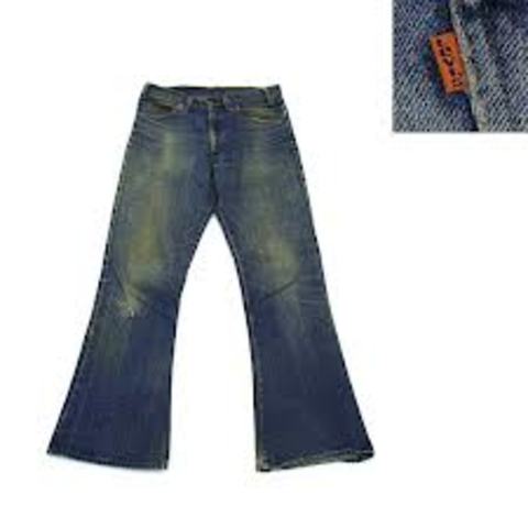 La Génération Hippie