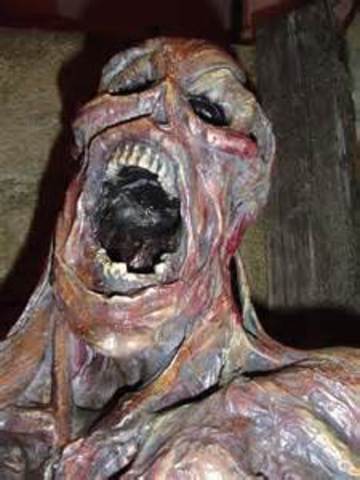 Discovery of King Tuts Tomb