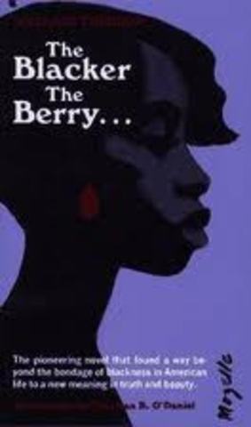The Blacker the Berry: A Novel of Negro Life