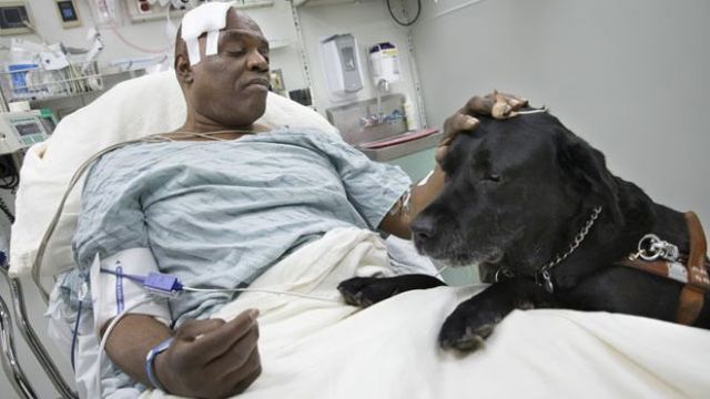 Blind man, guide dog survive fall onto NYC subway tracks