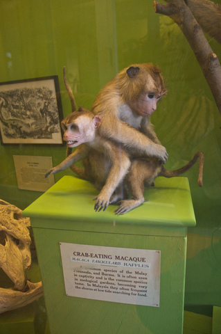 Patricia, Mike, Mildred, and Albert