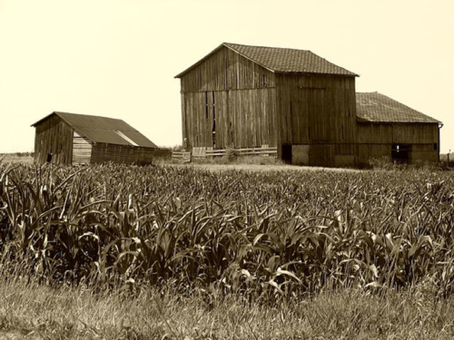 Poland's Traditional Economy