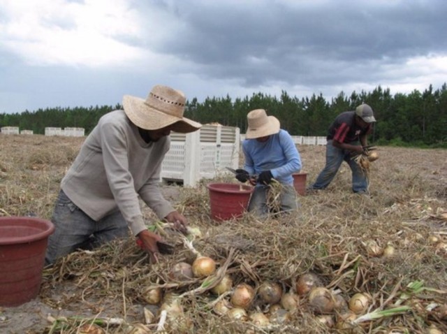 Georgia legalized slavery