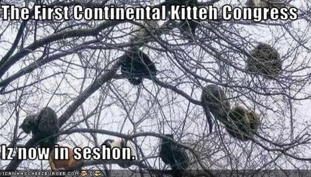 First Continetal Congres Meeting