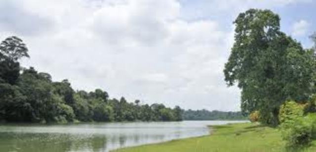 Japanese Occupied the McRitchie Reservoir & Threatened to Stop the Water Flow