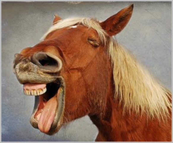 У каждой шутки есть свой особый день