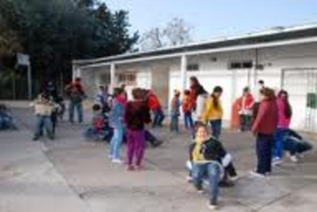 programa de ramificacion