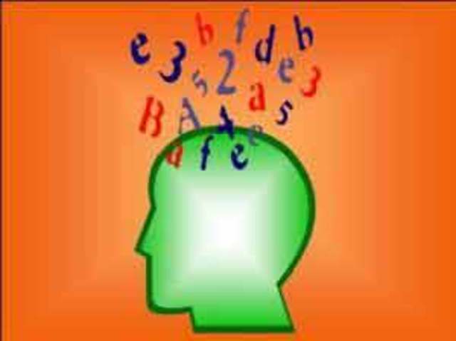 Perspectiva Tecnico-Empirica