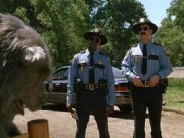 The Search for Beary