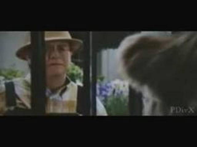 In the search for Ted Bedderhead