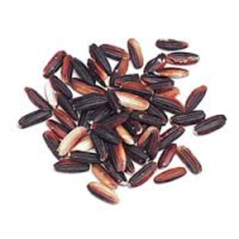 Rice and Indigo in South C