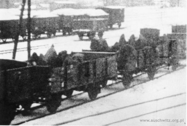 Evacuated from Auschwitz