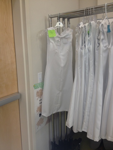 Dress Challenge Begins