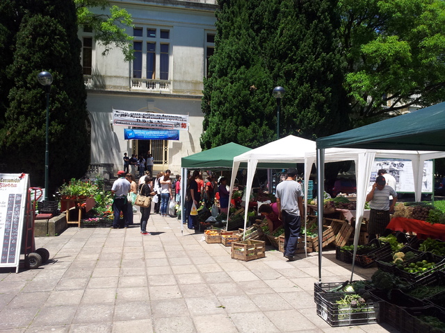 Conferencia en I Congreso Latinoamericano de Museos, La Plata, Argentina