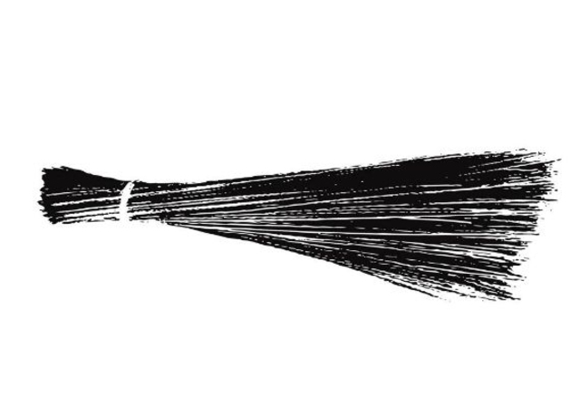 EC approves "broom" as election symbol