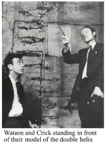 James Watson and Francis Clark