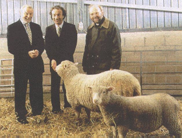 Dolly the sheep