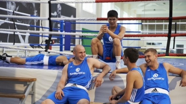 любительский бокс